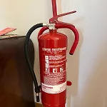 Romamo Sogliano4 *